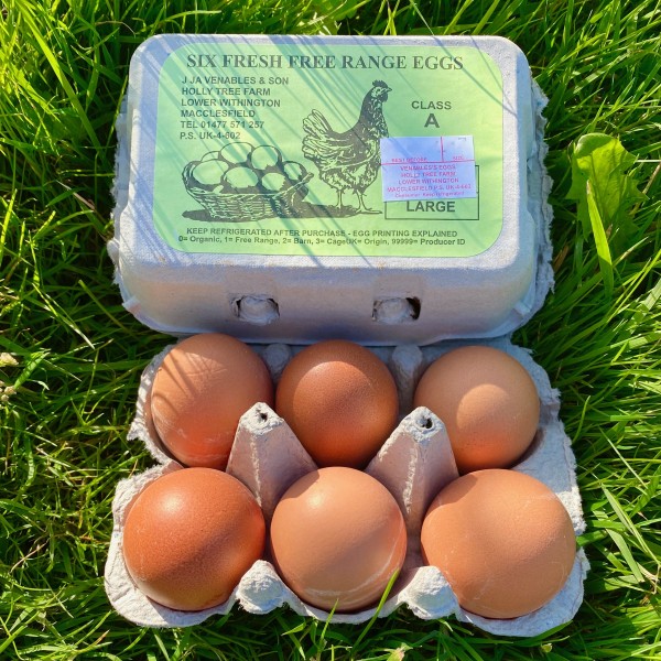 Eggs